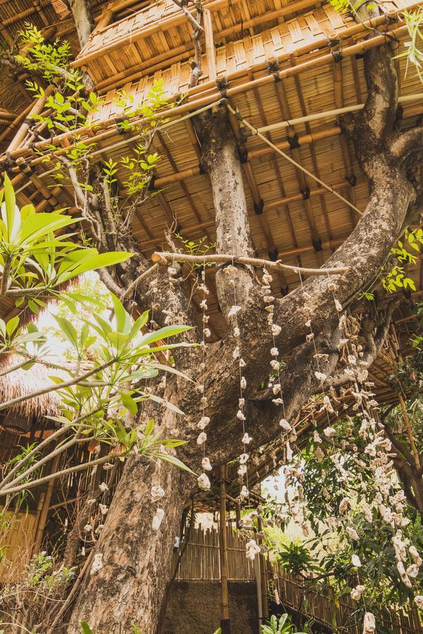 Eco Tree House Amed BALI Exterior photo